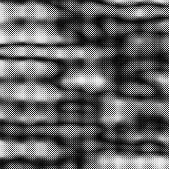 Meet your Posher, Gracie - Picture 1 of 1